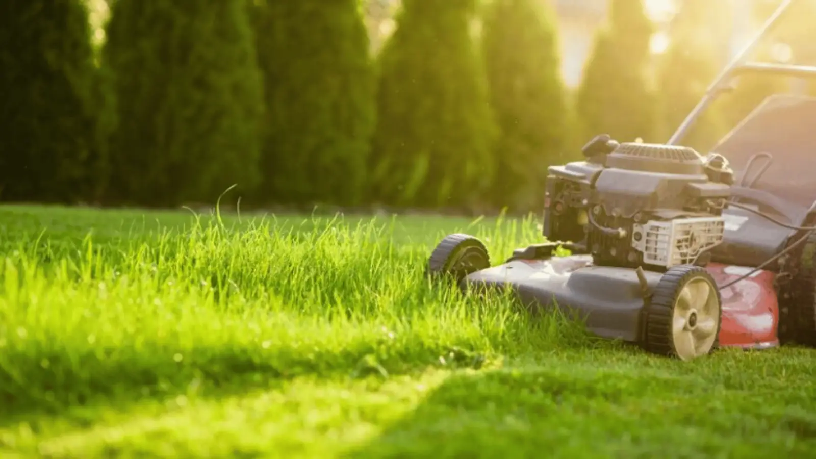MDA Services — lawn care in Avoca